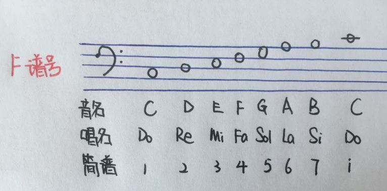 初步认识五线谱中的音符